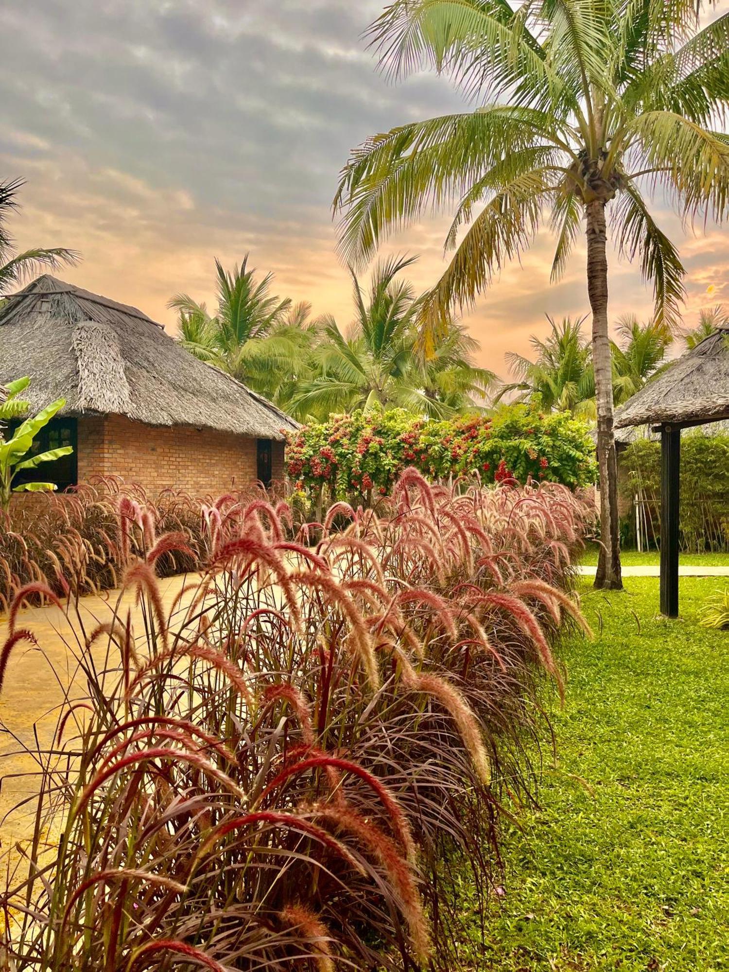 Enso Retreat Hoi An - Rediscovery & Serenity Eksteriør billede